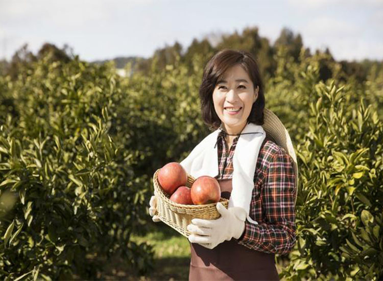 【潤康】磨煤機(jī)磨輥與您分享：互聯(lián)網(wǎng)巨頭紛紛賣菜，農(nóng)民會不會被“割韭菜”？